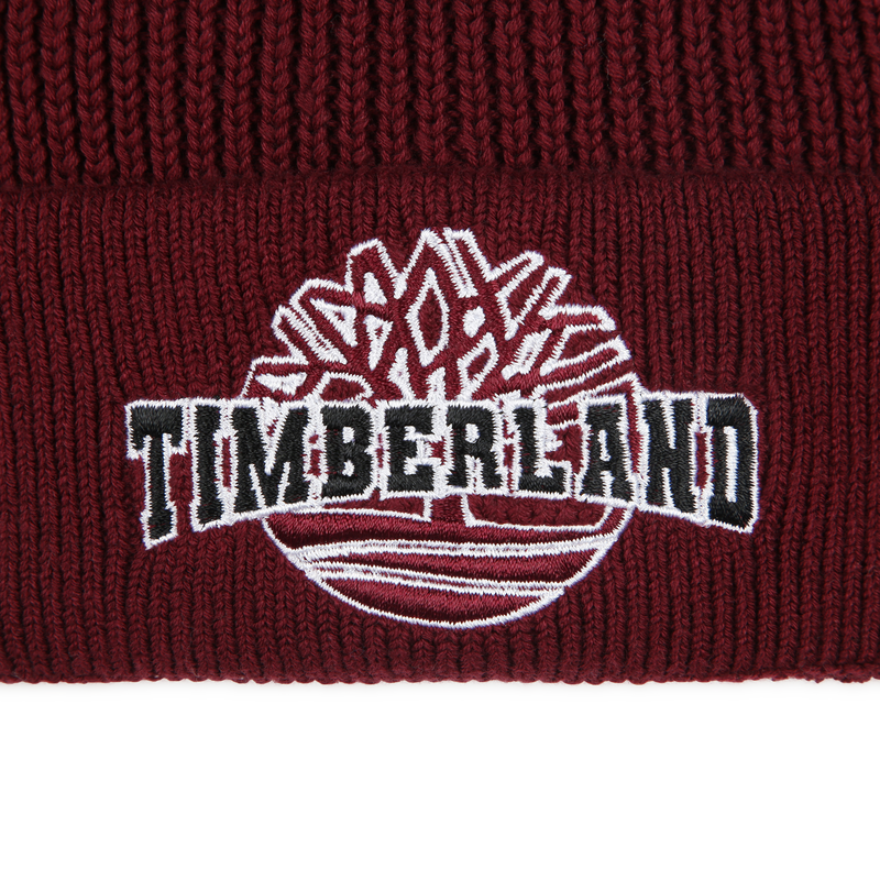 Embroidered knitted hat TIMBERLAND 
                        BOY