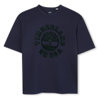Short-sleeved T-shirt TIMBERLAND 
                    BOY