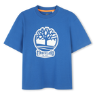 Two-tone T-shirt with logo, OCEANIA, hi-res