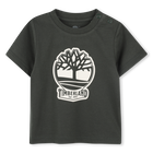 Short-sleeved T-shirt, GREEN, hi-res