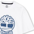 Two-tone T-shirt with logo TIMBERLAND 
                    BOY