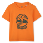 Short-sleeved T-shirt, NECTARINE, hi-res