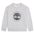 Brushed fleece sweatshirt TIMBERLAND 
                    BOY
