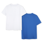 Two-pack of printed T-shirts TIMBERLAND 
                    BOY
