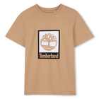 Short sleeve t-shirt, STONE, hi-res