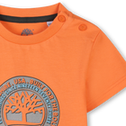 Short-sleeved T-shirt TIMBERLAND 
                    BOY
