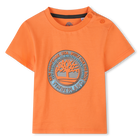 Short-sleeved T-shirt, NECTARINE, hi-res