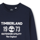 Pack of t-shirts TIMBERLAND 
                    BOY