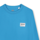 Plain T-shirt with label TIMBERLAND 
                    BOY