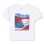 Short-sleeved t-shirt TIMBERLAND 
                    BOY